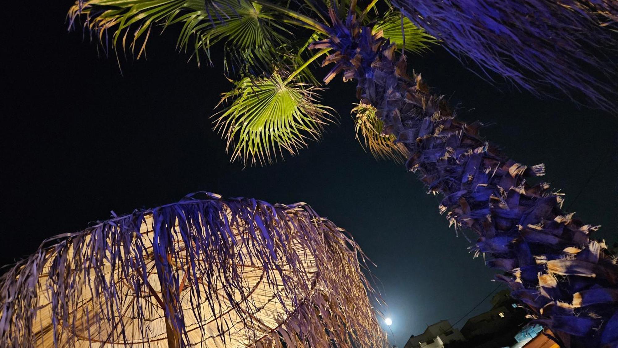 Elli Tropical Suites Mykonos Town Dış mekan fotoğraf
