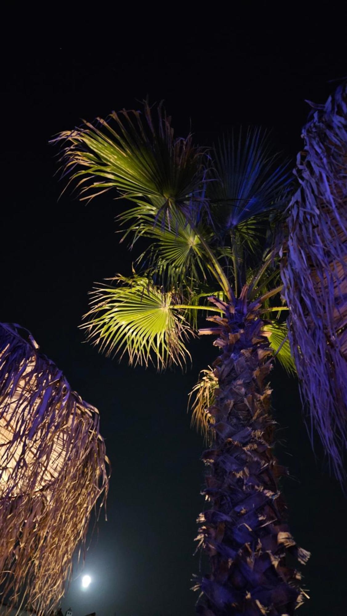 Elli Tropical Suites Mykonos Town Dış mekan fotoğraf