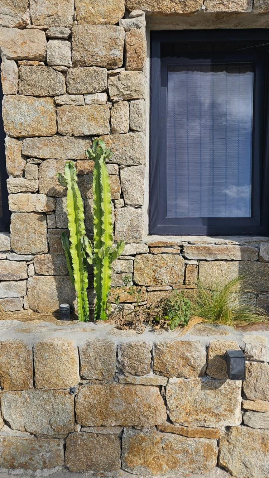 Elli Tropical Suites Mykonos Town Dış mekan fotoğraf