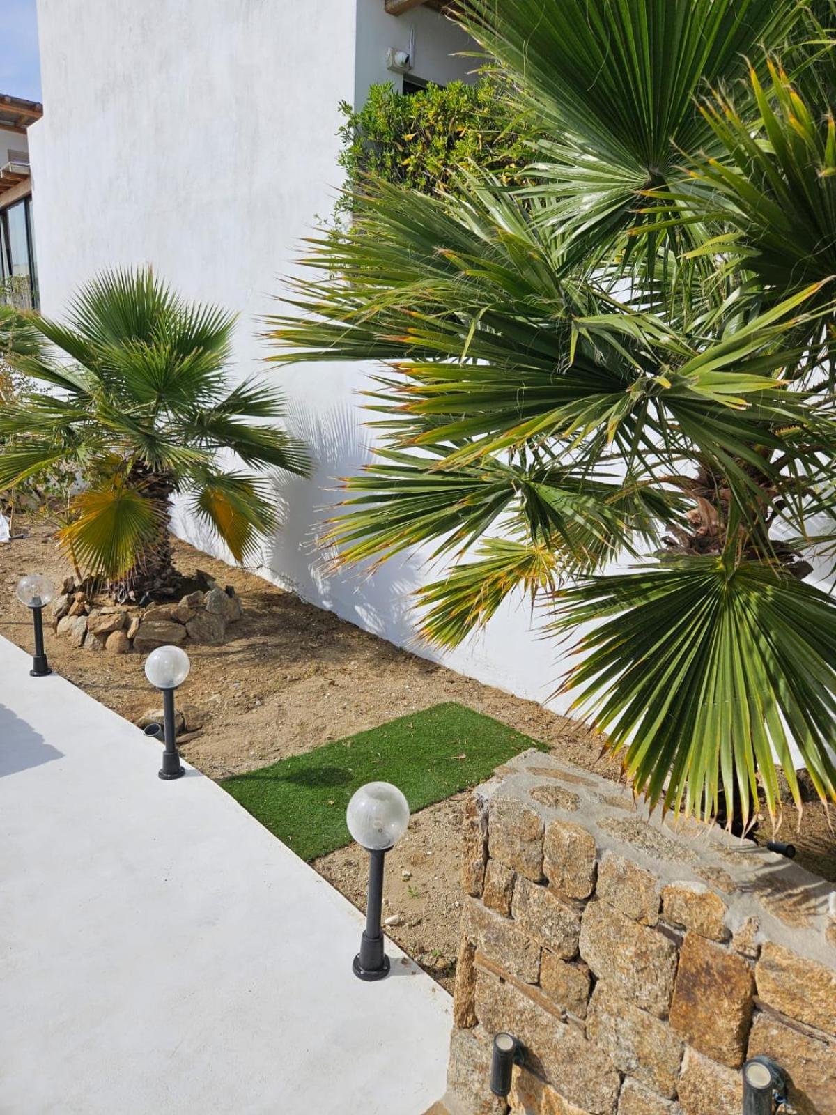 Elli Tropical Suites Mykonos Town Dış mekan fotoğraf